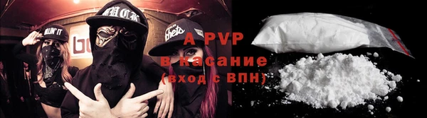кокс Касимов