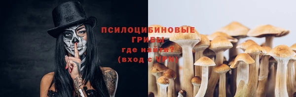 спайс Карталы