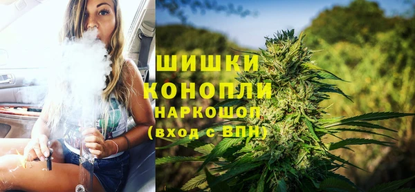кокс Касимов