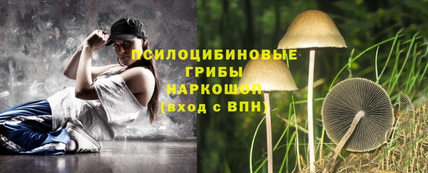 спайс Карталы