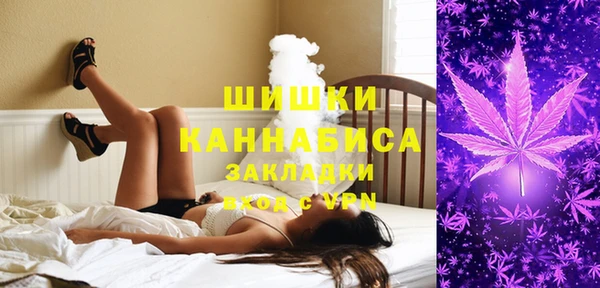 кокс Касимов