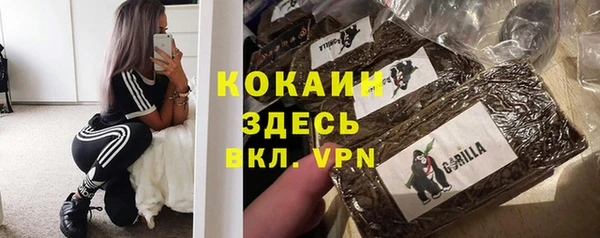 кокс Касимов